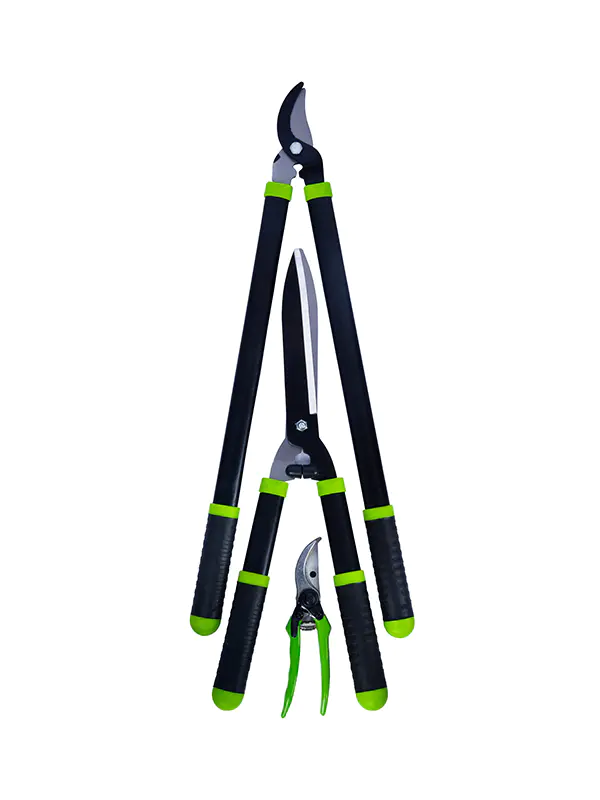 Shears Set TG1001026