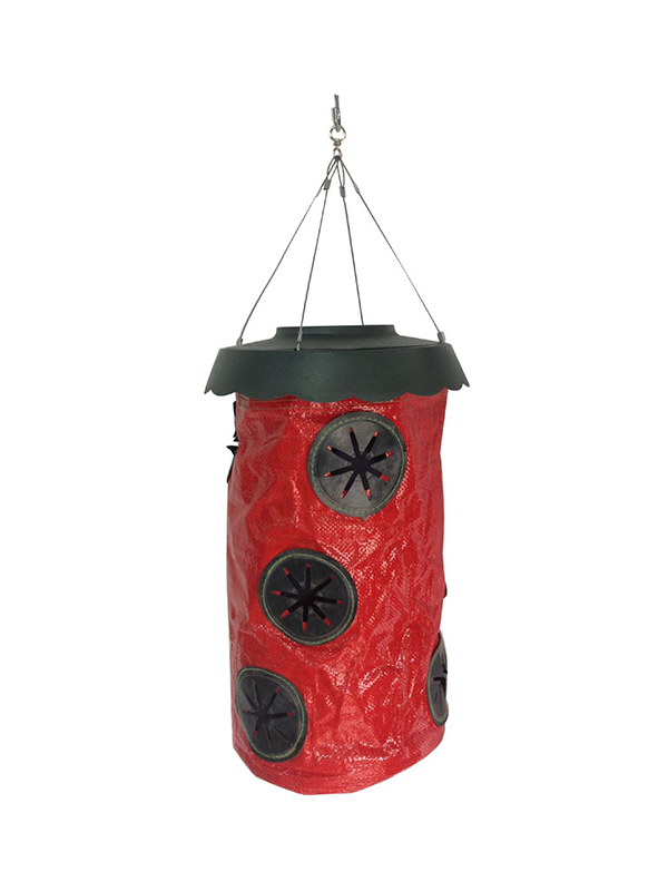 Hanging Strawberry Planter TG4003005