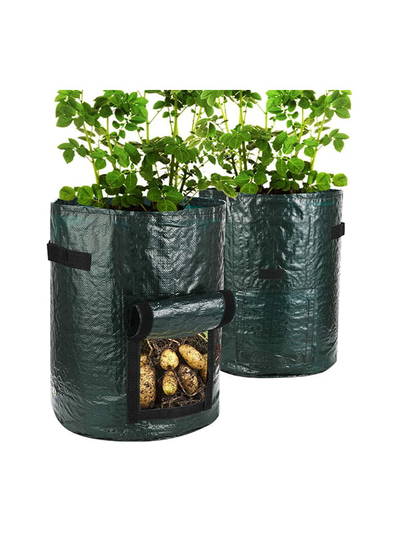 Potato Patio Planter TG4003038