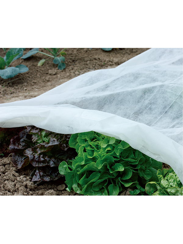 Non-woven Fleece TG4103002-30G
