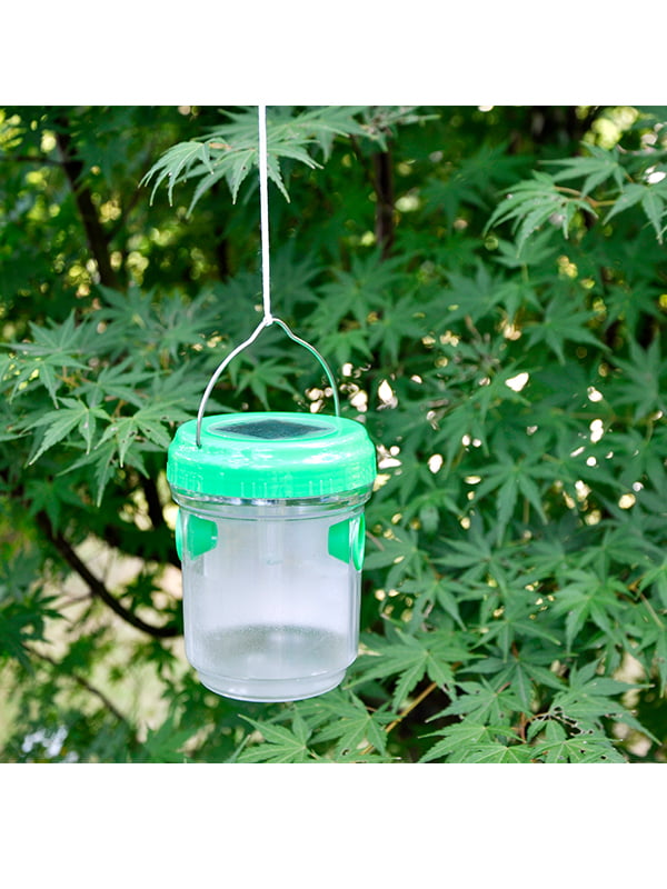 Insect Trap TG8001005
