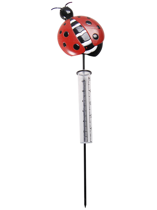 Rain Guage  TG9108021