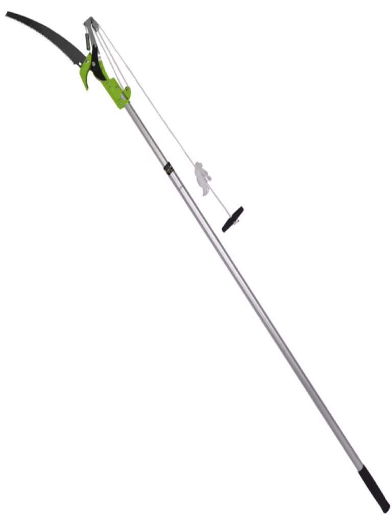 High branch pruning saw  TG1503004